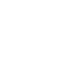 ins-ic